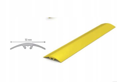 LISTWA PROGOWA 30 mm MOSIĘŻNA POLEROWANA- 100 cm