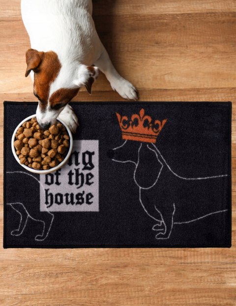 DYWANIK UNI. 40X60 KING OF THE HOUSE CZARNY